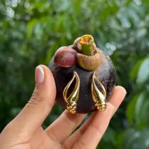 Sanskriti Shell Earrings