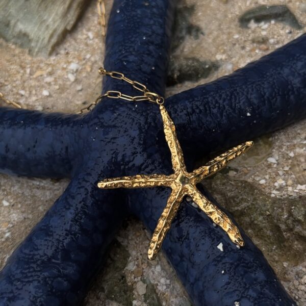 Shooting Star Necklace