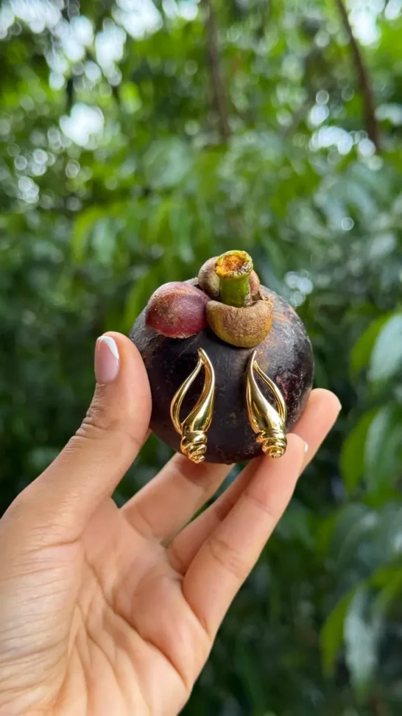 Sanskriti Shell Earrings | 18K Gold Plated | Annjueri