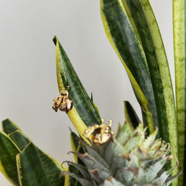 Coccinelle Ladybug Earrings | 18K Gold Plated | Annjueri
